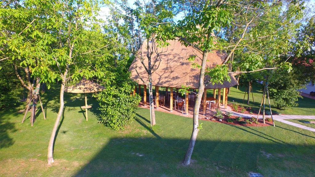 Гостьовий будинок Casa Dei Racconti Ceggia Екстер'єр фото